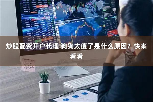 炒股配资开户代理 狗狗太瘦了是什么原因？快来看看