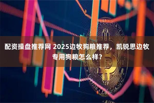 配资操盘推荐网 2025边牧狗粮推荐，凯锐思边牧专用狗粮怎么样？