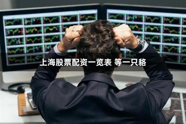 上海股票配资一览表 等一只貉