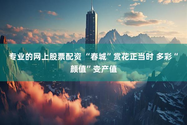 专业的网上股票配资 “春城”赏花正当时 多彩“颜值”变产值