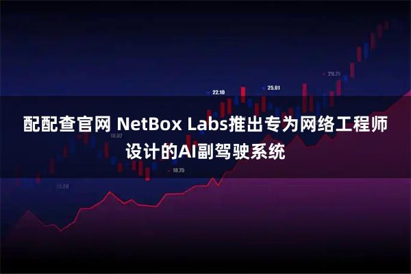 配配查官网 NetBox Labs推出专为网络工程师设计的AI副驾驶系统