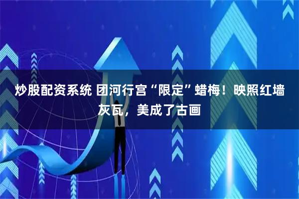炒股配资系统 团河行宫“限定”蜡梅！映照红墙灰瓦，美成了古画