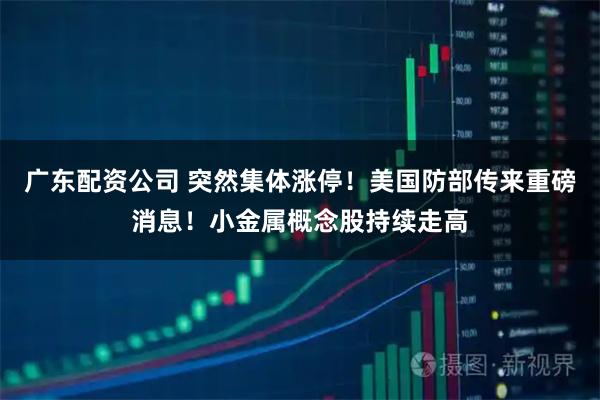 广东配资公司 突然集体涨停！美国防部传来重磅消息！小金属概念股持续走高