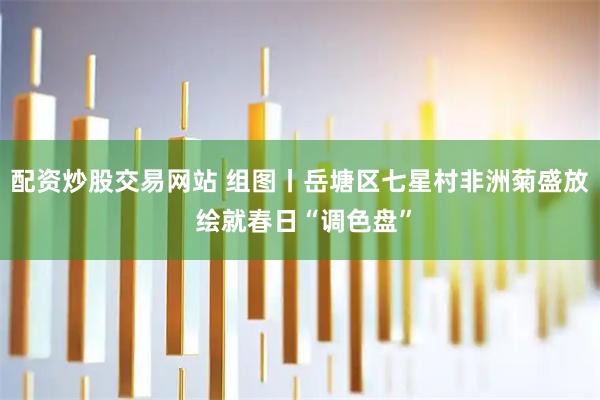 配资炒股交易网站 组图丨岳塘区七星村非洲菊盛放 绘就春日“调色盘”