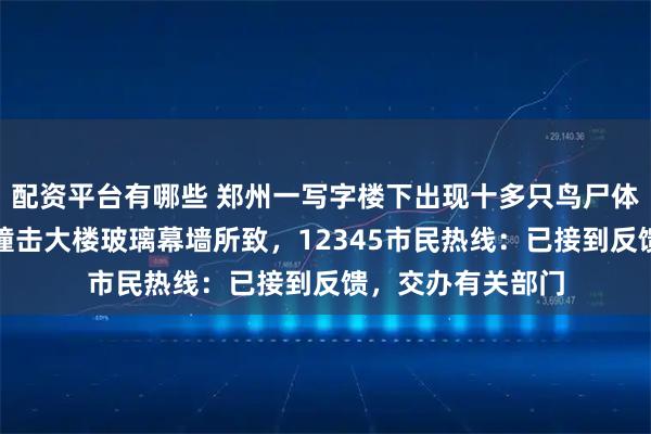 配资平台有哪些 郑州一写字楼下出现十多只鸟尸体，目击者称疑因撞击大楼玻璃幕墙所致，12345市民热线：已接到反馈，交办有关部门